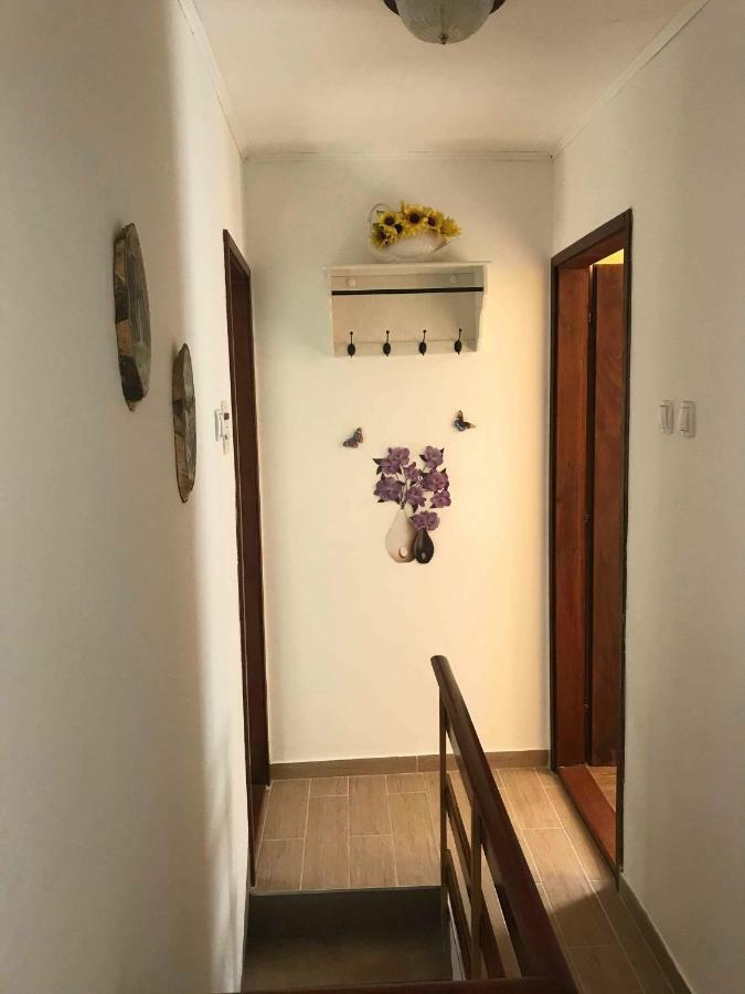 Apartma Evi Zaga Bagian luar foto