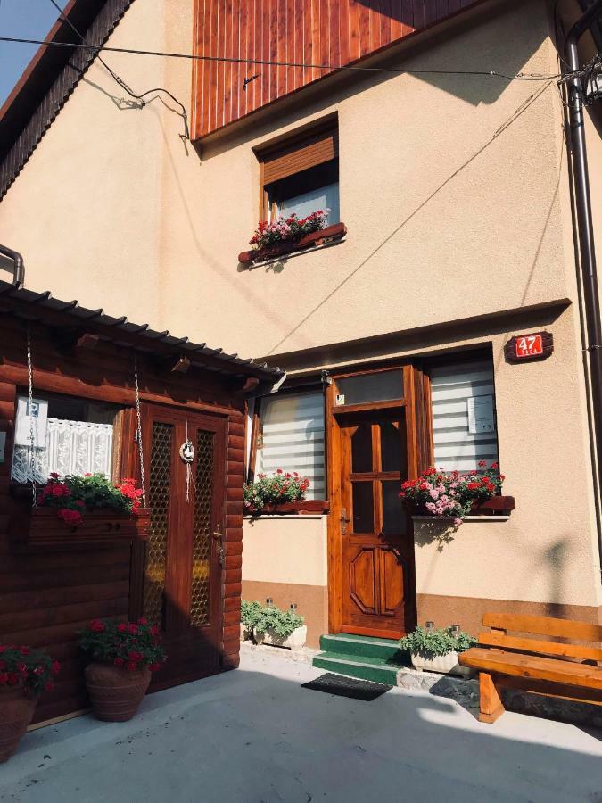 Apartma Evi Zaga Bagian luar foto