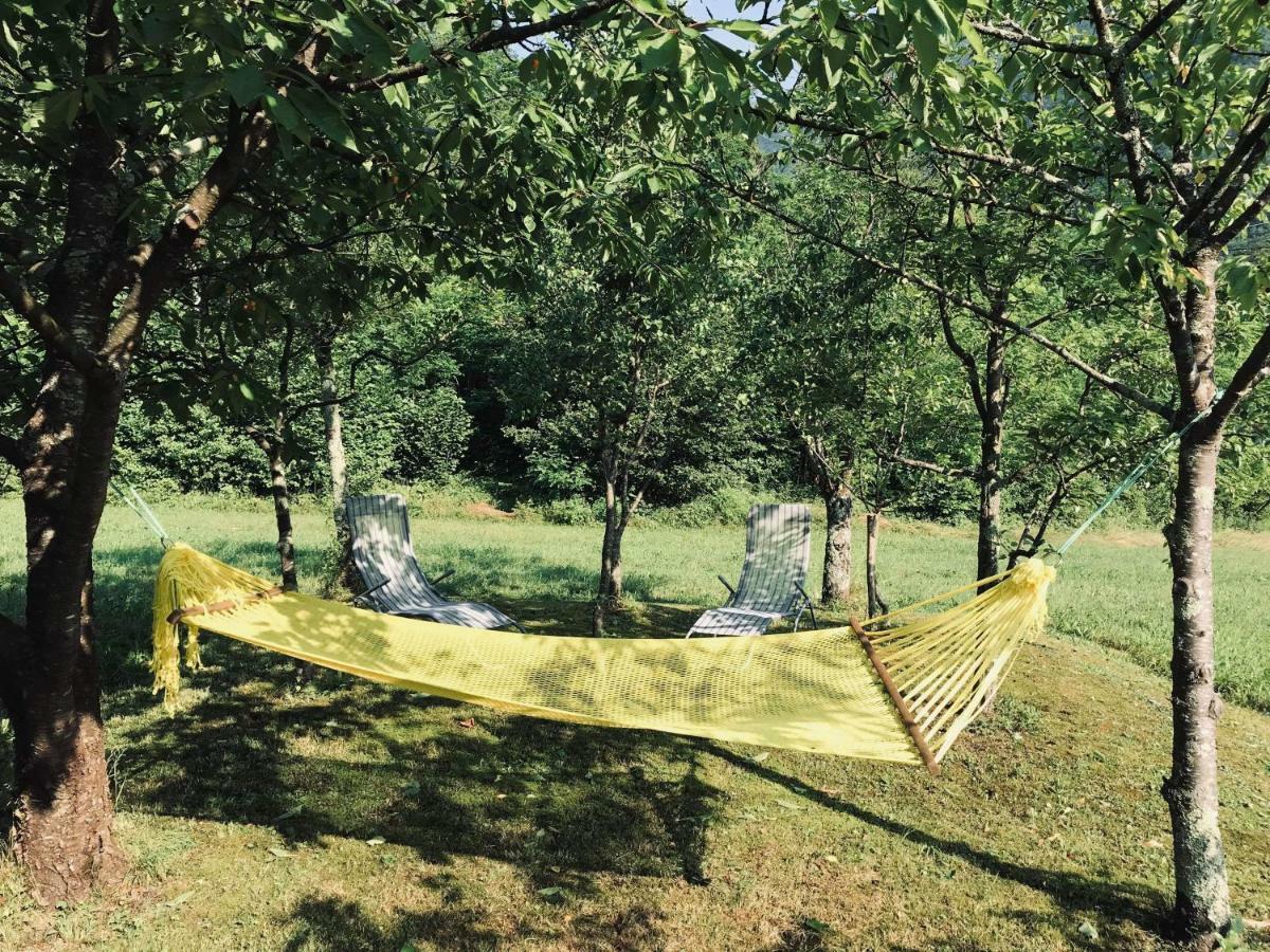 Apartma Evi Zaga Bagian luar foto